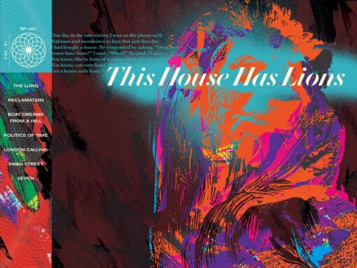 This House Has Lions / Jason Malmberg